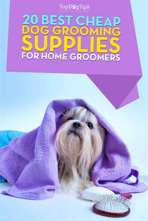 Top 5 Essential Cheap Dog Grooming Supplies for Under $10 in 2017