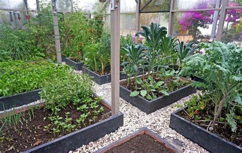 Planting Schemes For Raised Beds – Bed Gardening