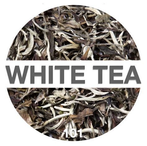 White Tea Benefits and Beyond: Everything You Need to Know - Bloom's Tea