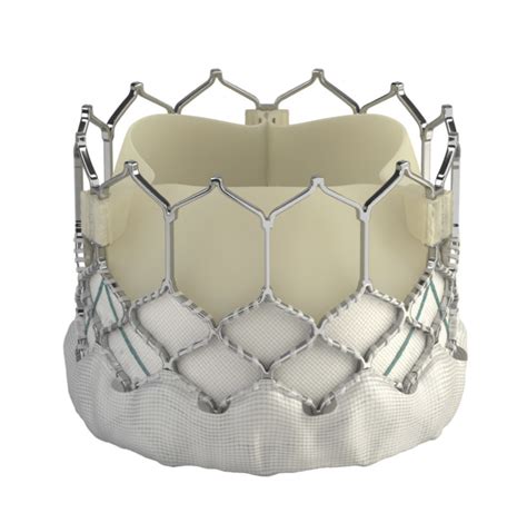 Transcatheter Heart Valves | HYGEIA Hospital