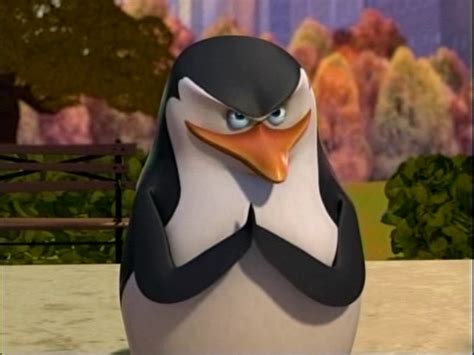 Some pictures of Skipper - Skipper: The penguins of madagascar Photo (31445380) - Fanpop