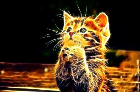 Abstract Cat Wallpapers - Top Free Abstract Cat Backgrounds - WallpaperAccess