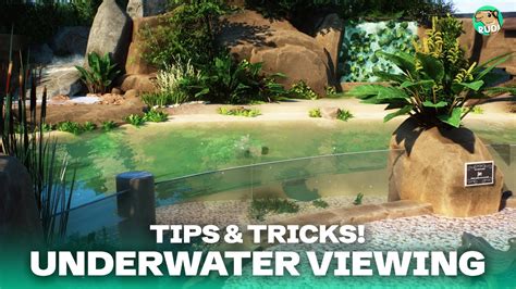 BETTER Underwater Viewings - 5 Tips & Tricks in Planet Zoo - YouTube