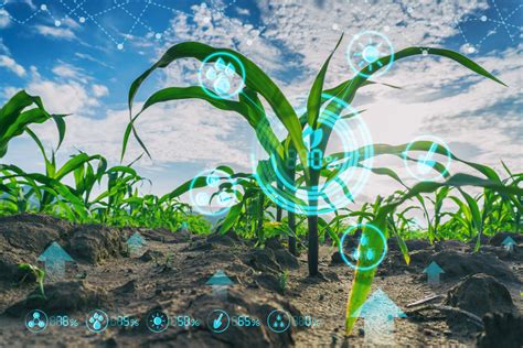 Technology used in agriculture: Top 5 technologies revealed - ET Edge Insights