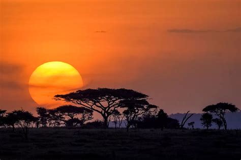 Serengeti National Park - Treasures Adventures