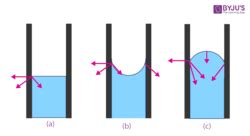 Capillary Action - Meaning, Definition, Examples, Adhesion, Cohesion