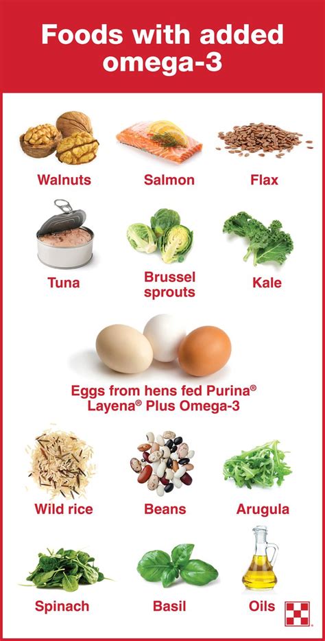Increasing Omega-3 in Chicken Eggs| Purina Animal Nutrition | Egg and grapefruit diet, Healthy ...