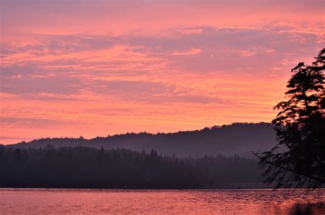 11 Algonquin Park Campgrounds: A Helpful Guide to Camping in Algonquin