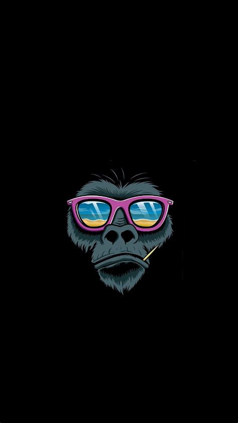 Monkey Wallpapers - Top Free Monkey Backgrounds - WallpaperAccess