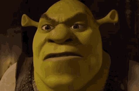 Shrek Angry GIF - Shrek Angry Mad - Discover & Share GIFs