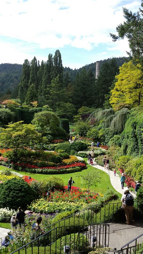 Sunken Garden in Butchart Gardens, Victoria, BC, Canada | Butchart gardens, Sunken garden ...