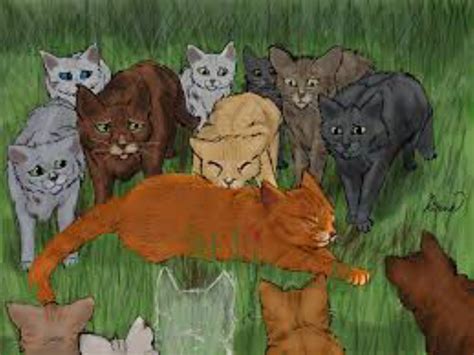 firestar's death | Warrior Cats