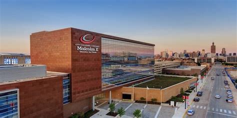 Best Nursing Schools in Chicago in 2024 (Online & On-Campus)