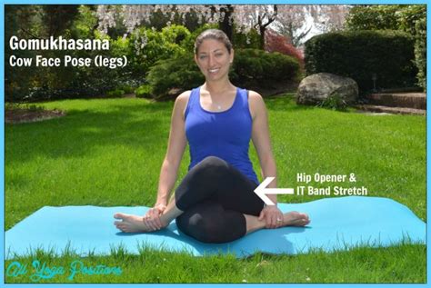 Cow Face Pose Yoga - AllYogaPositions.com