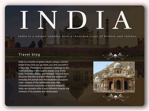 INDIA by Tatiana on Dribbble