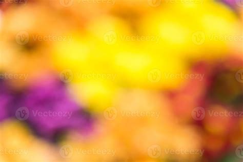 Blur focus background of the colorful floral garden. 7952740 Stock Photo at Vecteezy