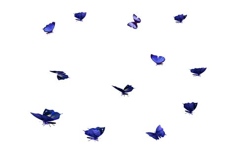 free Butterfly Photo Overlays, free Photoshop overlay, Realistic Natural flying butterflies ...