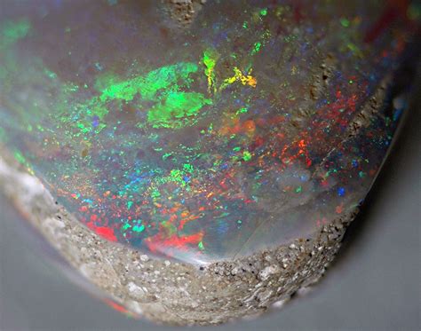 Opalized fossil bivalve (Bulldog Shale, Lower Cretaceous; … | Flickr