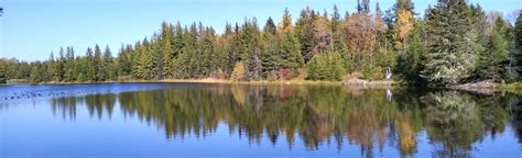 Aroostook National Wildlife Refuge Beaver Trail: 25 Reviews, Map ...