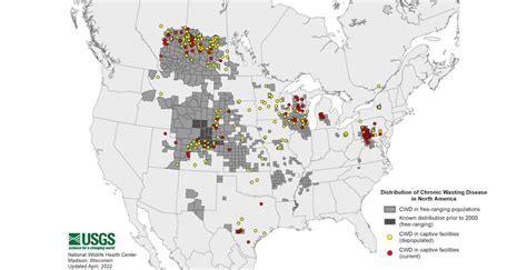 What is 'zombie deer' disease? | Popular Science