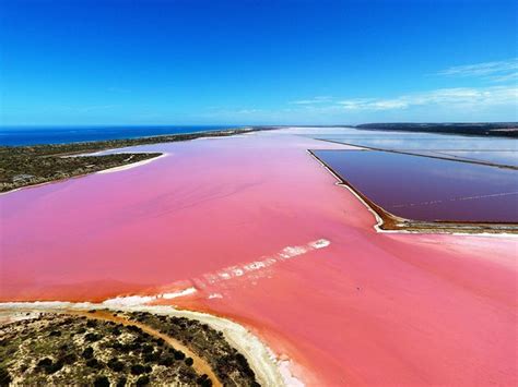 Pink Lake Aerial Flyover from Geraldton 2024