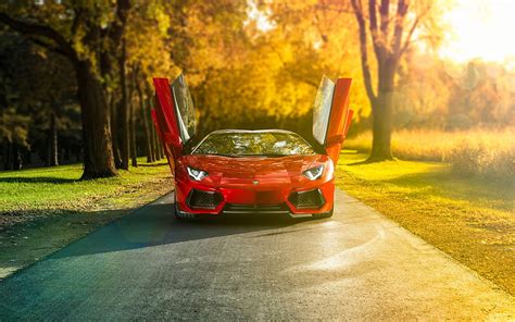 Lamborghini With Butterfly Doors Wallpaper