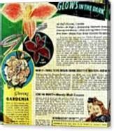 Antique flowers advertising old comic book aesthetic Drawing by Cicero Spin - Fine Art America