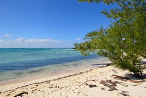 La Herradura beach in Cuba stock image. Image of giron - 91179209