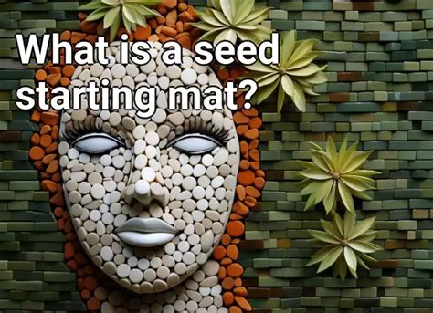 What is a seed starting mat? – Gardening.Gov.Capital