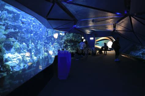 The Grand Aquarium in Ocean Park, Hong Kong 18 Nov 2021 Editorial ...