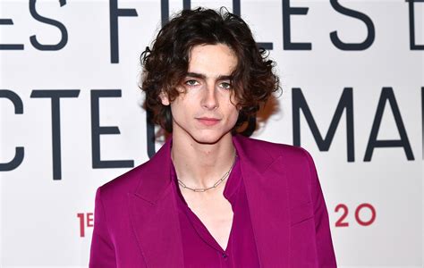 Timothée Chalamet reuniting with 'Call Me By Your Name' director on new ...