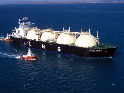 Croatia to announce tender results for using planned LNG plant in late ...