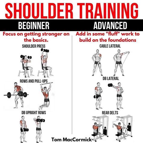 As a beginner your focus should be on mastering the basics. Getting stronger on these and eating ...