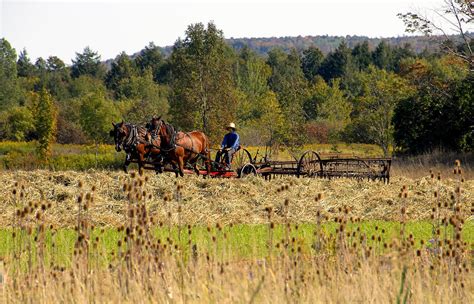 Amish Farming Photograph by David Lee Thompson