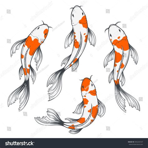 Set Four Traditional Japanese Koi Fishes Stock Vector (Royalty Free ...