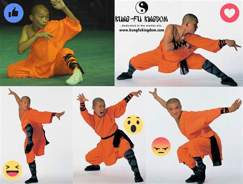 Shaolin Kung Fu Animal Styles