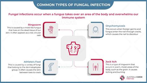 Fungal Infection Fact Sheet