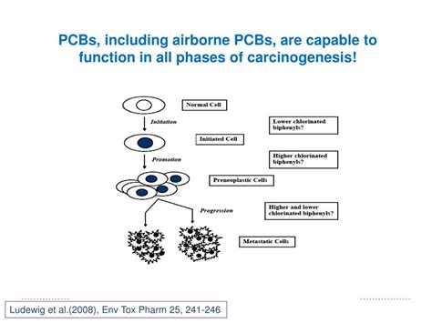 PPT - PCBs – Mechanisms of Toxicity PowerPoint Presentation, free download - ID:1585578