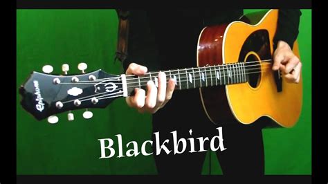 Blackbird Cover - Isolated Guitar - Instrumental and Foot Taps - YouTube