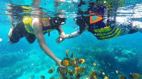 Paket Wisata Snorkeling Nusa Dua - Bali - Dolan Dolen Tour