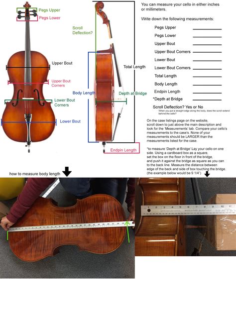 Cello Case BAM Hightech Polycarbonate 2.9 - Linda West Cellos