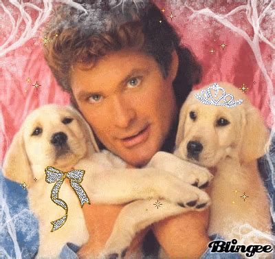 David Hasselhoff GIFs - Get the best GIF on GIPHY