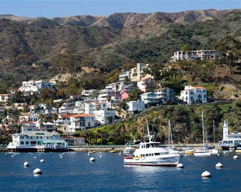 15 Best Catalina Island Tours To Take In 2025