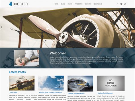 Download Free Booster Wordpress theme - JustFreeWPThemes