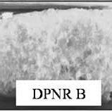 Relative appearance of DPNR. | Download Scientific Diagram