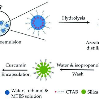 Scheme 1. Schematic diagram of the azeotropic distillation assisted ...