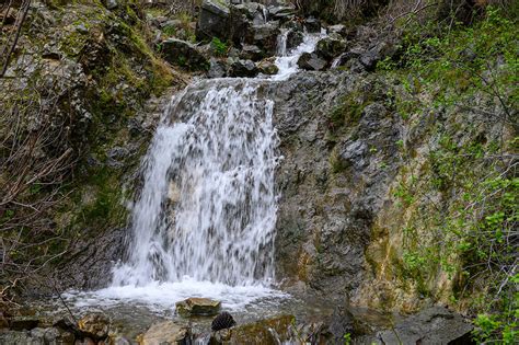 Mount Diablo State Park: Donner Canyon and the Falls Trail - Save Mount Diablo