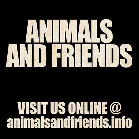 Animals and Friends Tickets, 2022 Concert Tour Dates & Details | Bandsintown