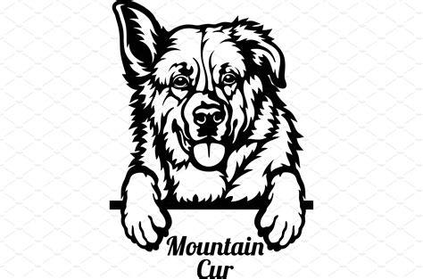 Mountain Cur Peeking Dog - head | Digital clip art, Illustration design, Dogs