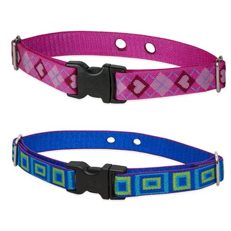 Four Your Paws Only: Underground Fence Collars